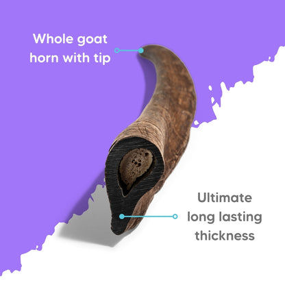 The Pet Project - Goat Horn Dog Chew (15-20cm)