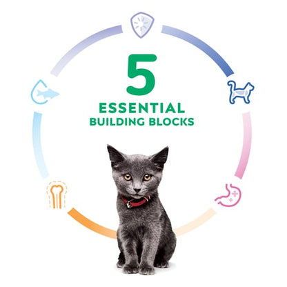 HILLS KITTEN HEALTHY DEVELOPMENT CHICKEN RECIPE 1.58KG / 4KG / 10KG