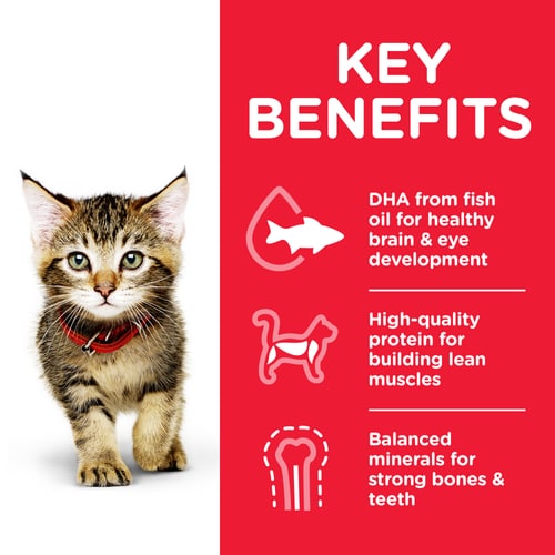HILLS CAT FOOD KITTEN OCEAN FISH POUCH  85G