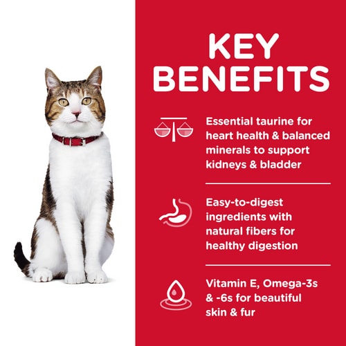 HILLS CAT ADULT 7+ ACTIVE LONGEVITY 1.5KG / 3KG / 6KG