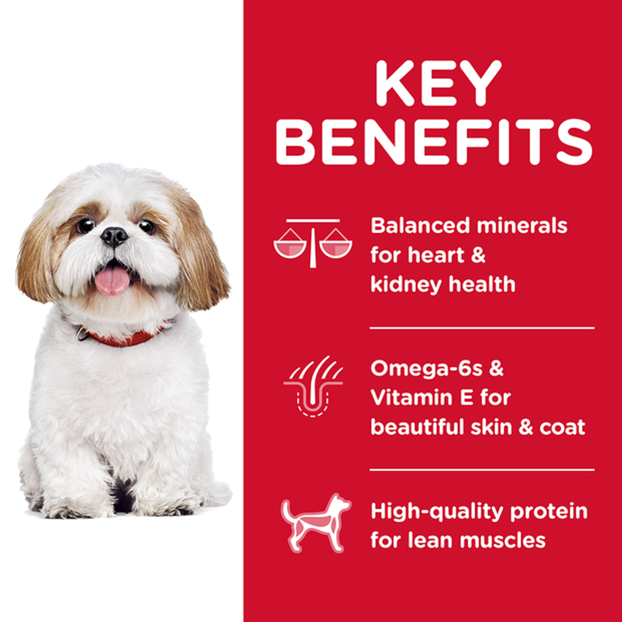 HILLS DOG ADULT 7+ ACTIVE LONGEVITY SMALL BITES 2KG