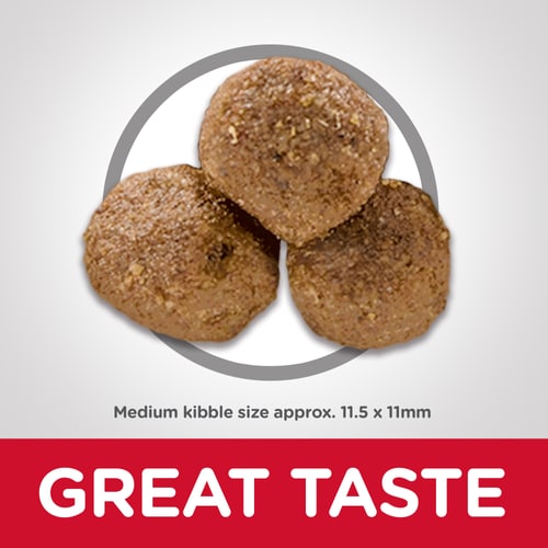 HILLS DOG ADULT LAMB MEAL AND BROWN RICE RECIPE 14.97KG