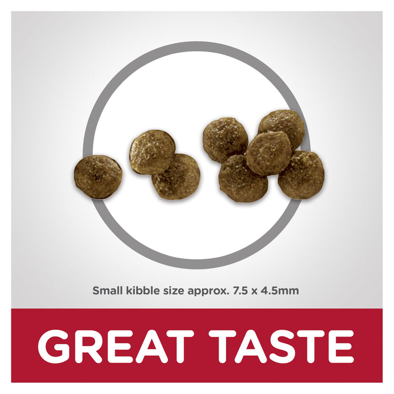 HILLS DOG ADULT SMALL PAWS LAMB & RICE 2.04KG