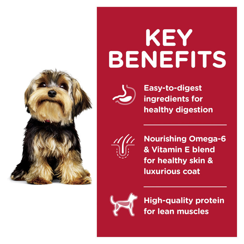HILLS DOG ADULT SMALL PAWS LAMB & RICE 2.04KG