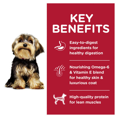 HILLS DOG ADULT SMALL PAWS LAMB & RICE 2.04KG