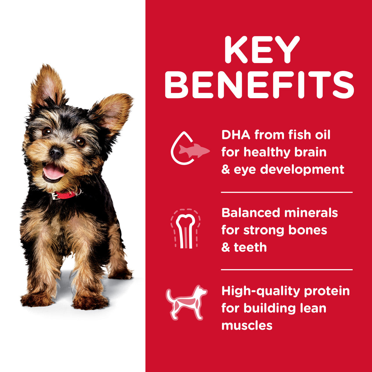 HILLS PUPPY SMALL PAWS CHICKEN MEAL BARLEY AND BROWN RICE RECIPE 1.5KG