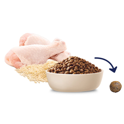 ADVANCE DOG PUPPY MEDIUM BREED CHICKEN WITH RICE 800G/3KG/15KG/20KG