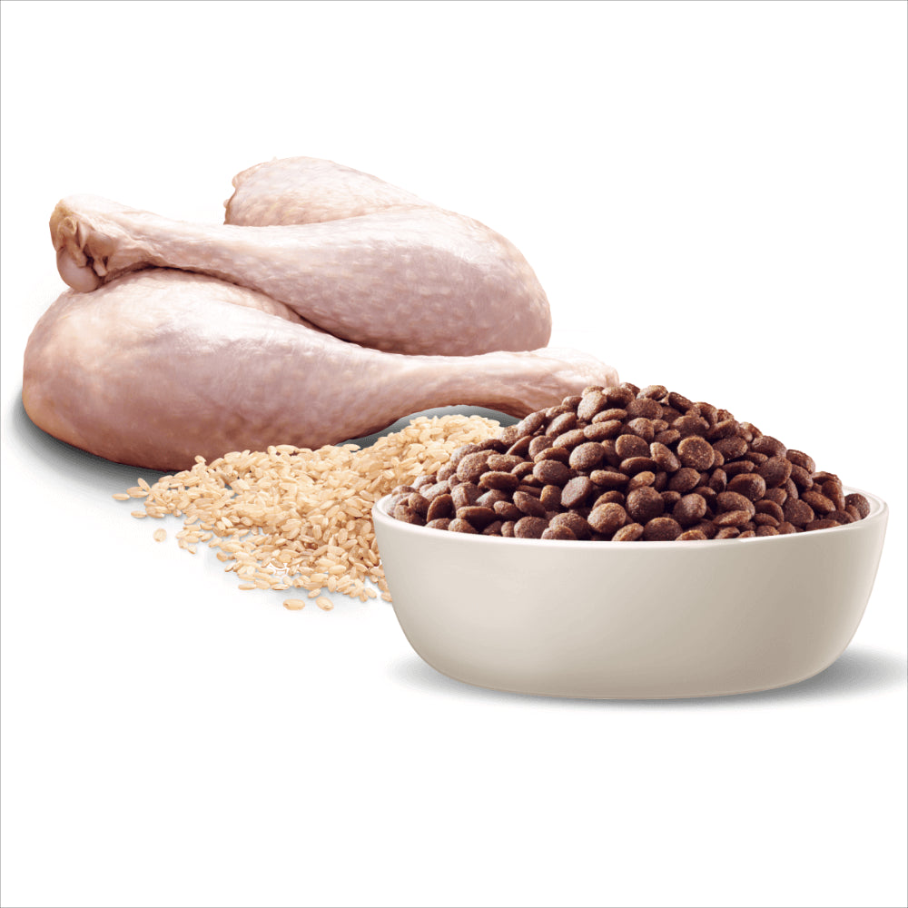 ADVANCE PUPPY MEDIUM BREED SENSITIVE SKIN & DIGESTION TURKEY & RICE 3KG/15KG