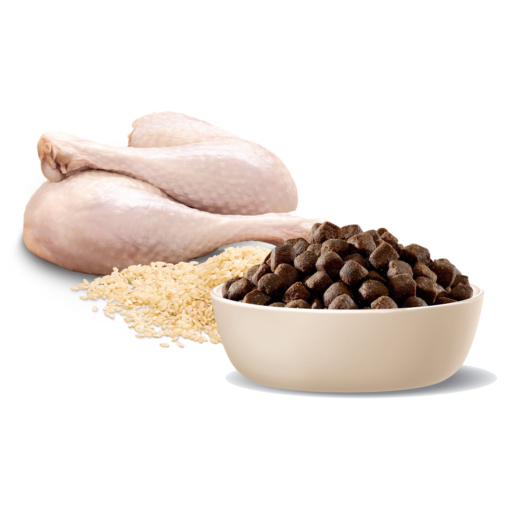 ADVANCE DRY FOOD ADULT DOG TERRIERS MEDIUM TURKEY WITH RICE 13KG