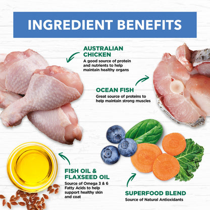 IVORY COAT GRAIN FREE CAT ADULT CHICKEN & OCEAN FISH IN JELLY 85G