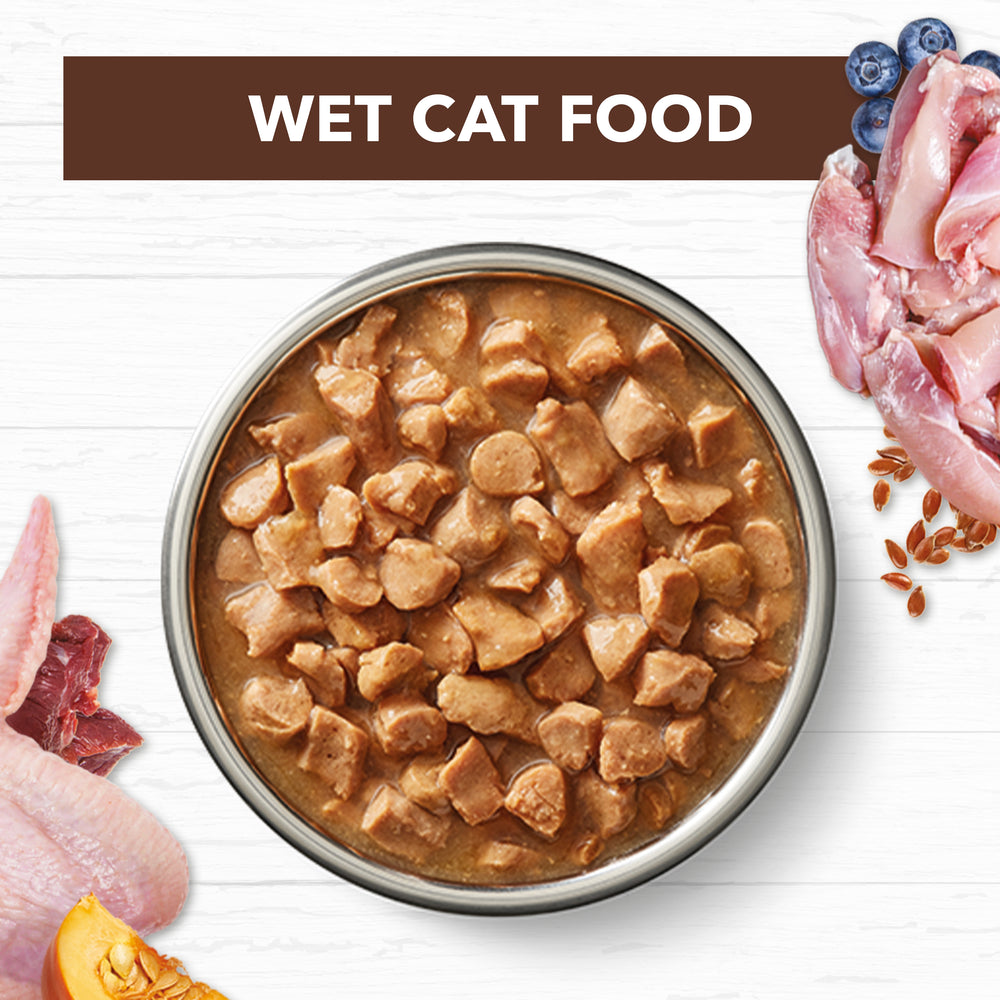 IVORY COAT GRAIN FREE CAT ADULT CHICKEN & KANGAROO IN GRAVY 85G