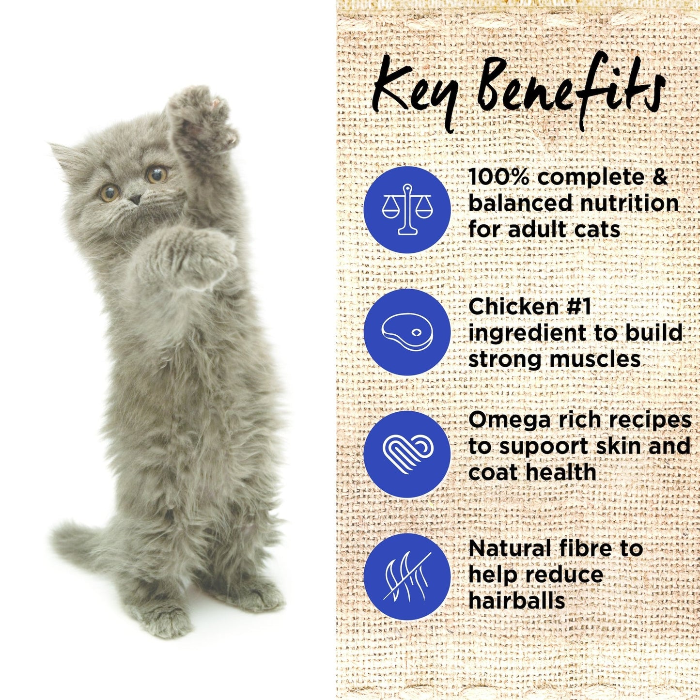 IVORY COAT GRAIN FREE KITTEN CHICKEN IN GRAVY 85G