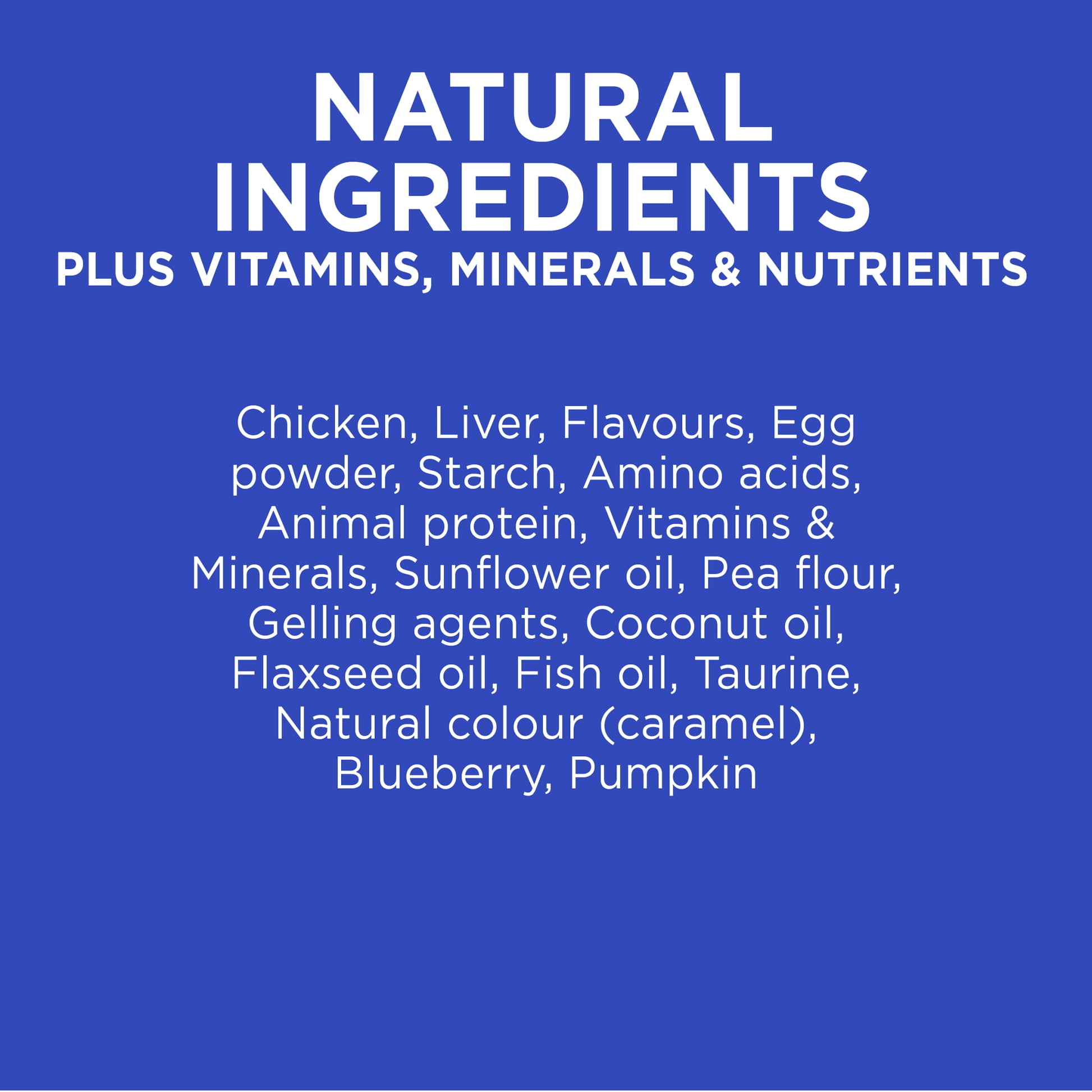 IVORY COAT GRAIN FREE KITTEN CHICKEN IN GRAVY 85G