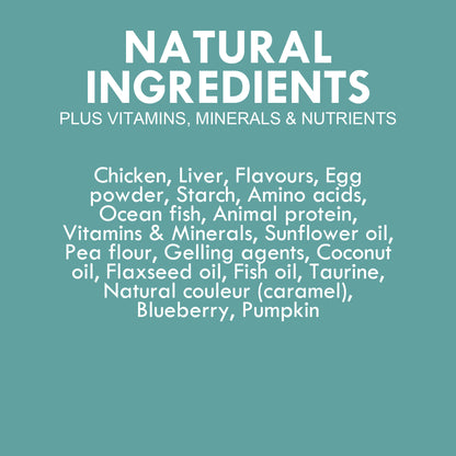IVORY COAT GRAIN FREE KITTEN CHICKEN & OCEAN FISH IN JELLY 85G