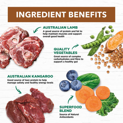 IVORY COAT ALL DOGS ALL BREEDS GRAIN FREE LAMB & KANGAROO STEW 400G