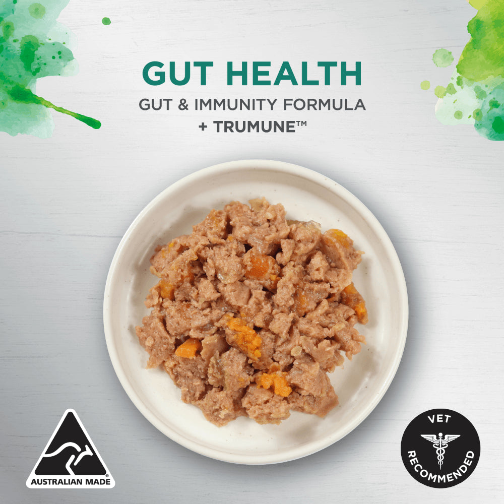 IVORY COAT ADULT DOG GUT HEALTH INSPIRED BY RAW GUT IMMUNITY CHICKEN 100G