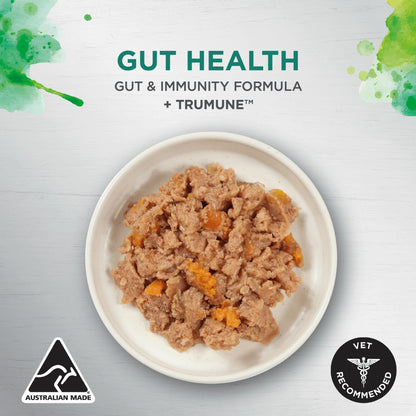 IVORY COAT ADULT DOG GUT HEALTH INSPIRED BY RAW GUT IMMUNITY CHICKEN 100G