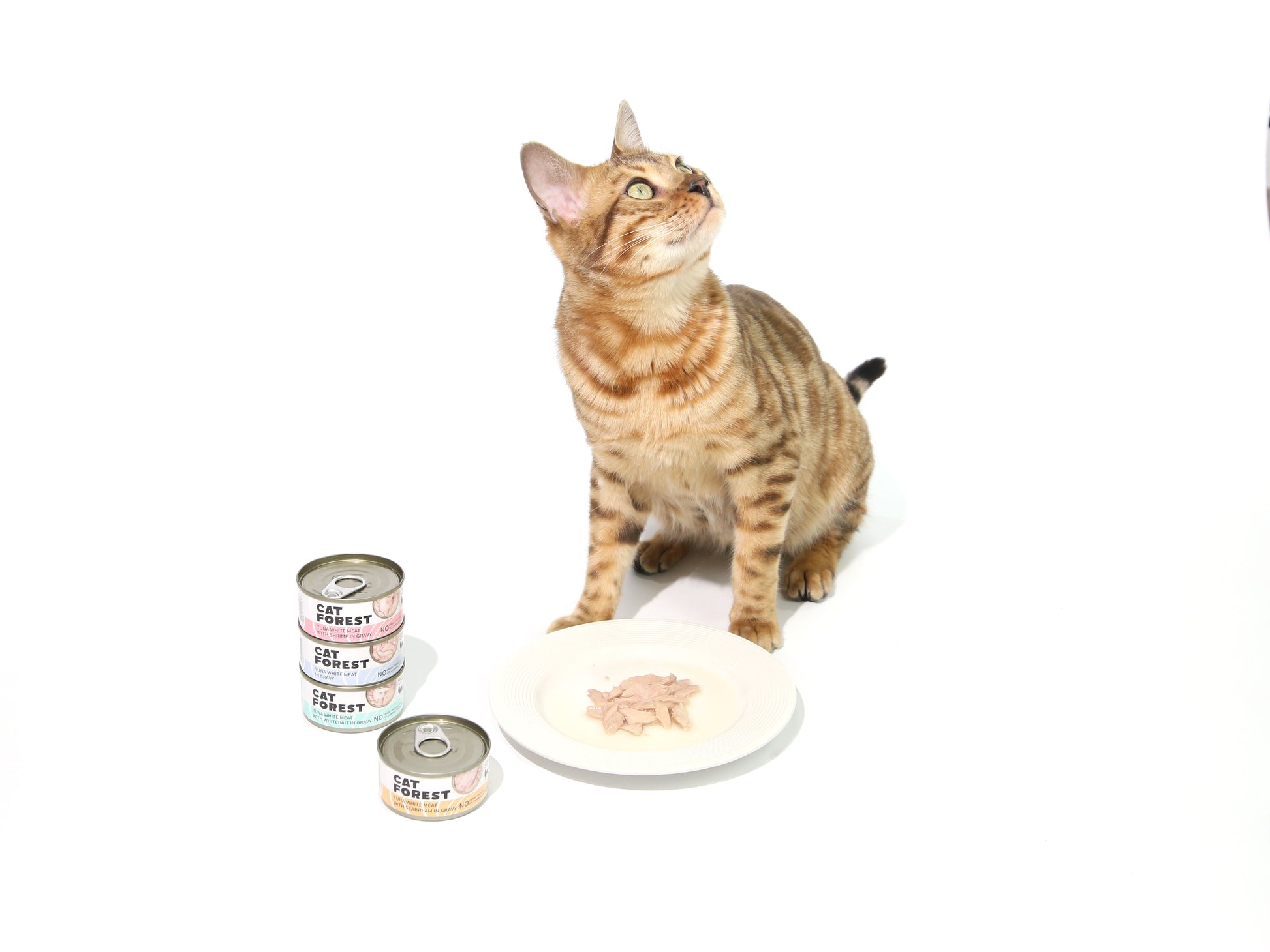 CAT FOREST Classic Tuna White Meat In Gravy Cat Canned Food