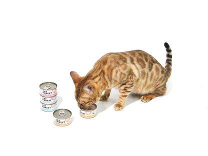 CAT FOREST Classic Tuna White Meat In Gravy Cat Canned Food