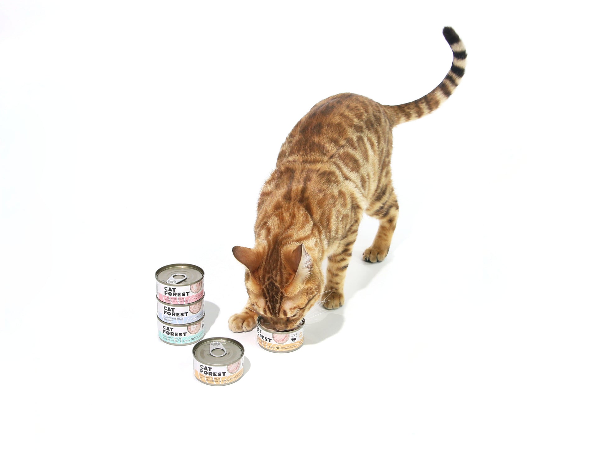 CAT FOREST Classic Tuna White Meat In Gravy Cat Canned Food