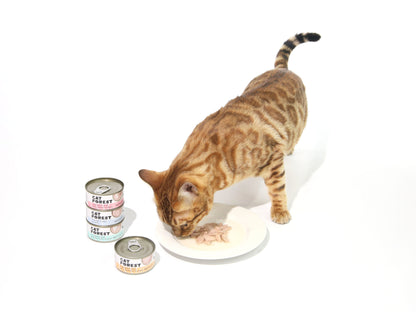 CAT FOREST Classic Tuna White Meat With Seabream In Gravy Cat Canned Food