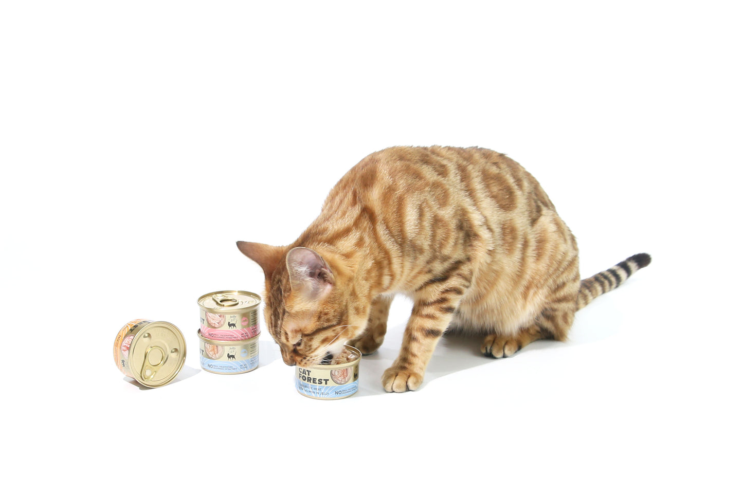 CAT FOREST Premium Tuna White Meat With Salmon In Jelly Cat Canned Food