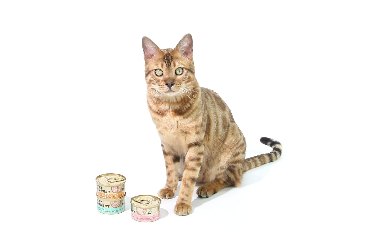 CAT FOREST Premium Tuna White Meat With Salmon In Jelly Cat Canned Food