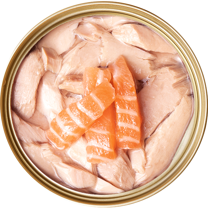 CAT FOREST Premium Tuna White Meat With Salmon In Jelly Cat Canned Food