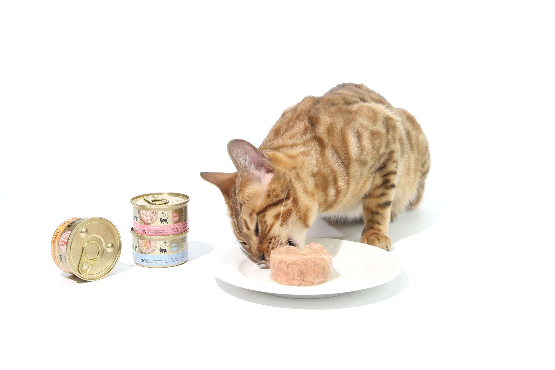 CAT FOREST Premium Tuna White Meat With Salmon In Jelly Cat Canned Food