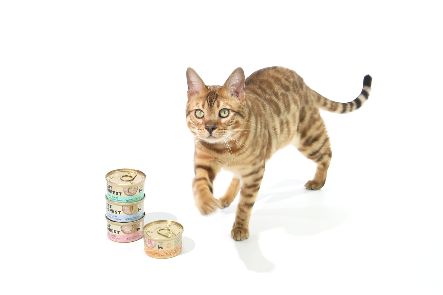 CAT FOREST Premium Tuna White Meat With Salmon In Jelly Cat Canned Food