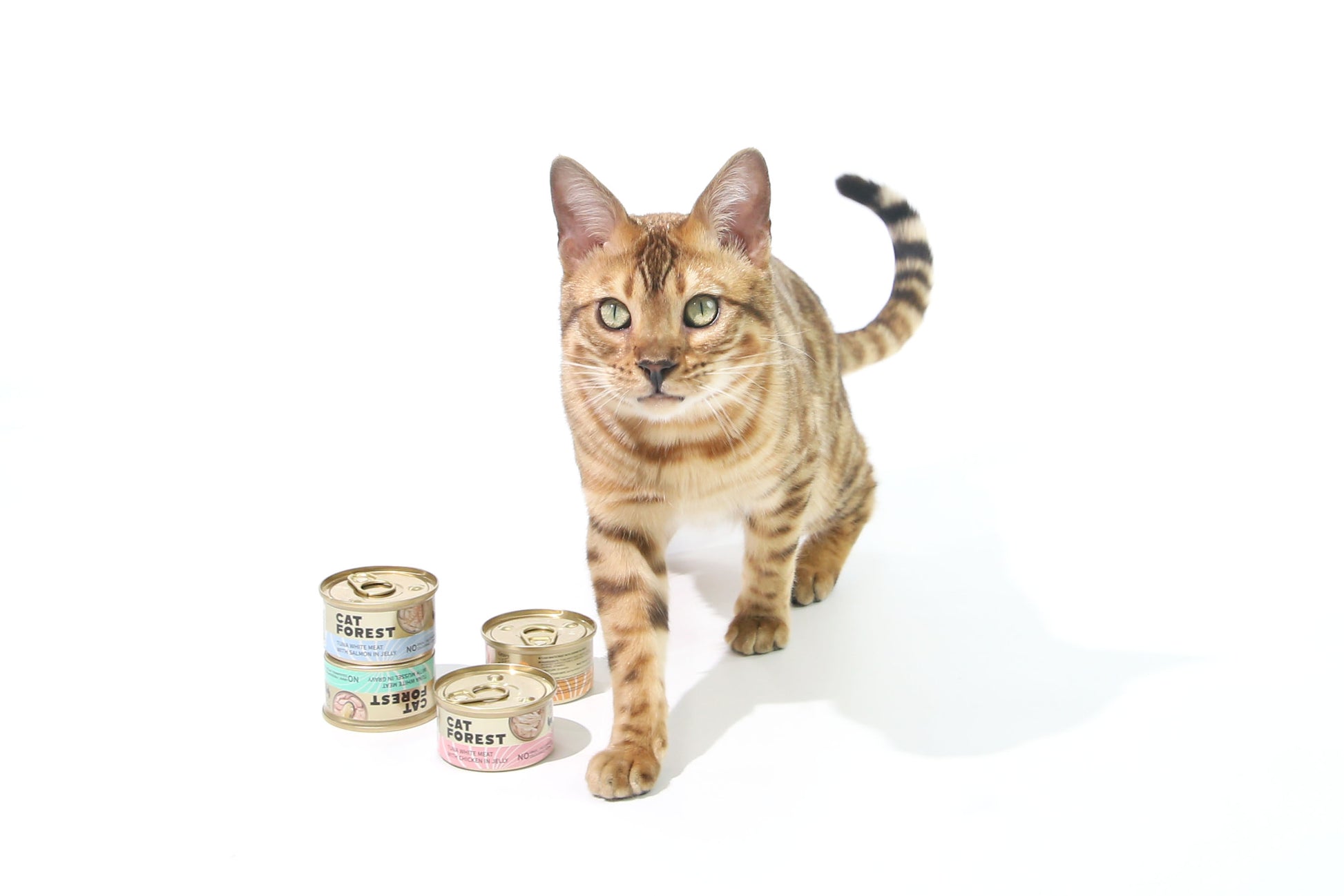 CAT FOREST Premium Tuna White Meat With Shrimp In Gravy Cat Canned Food