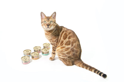 CAT FOREST Premium Tuna White Meat With Shrimp In Gravy Cat Canned Food