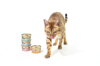 CAT FOREST Premium Tuna White Meat With Shrimp In Gravy Cat Canned Food