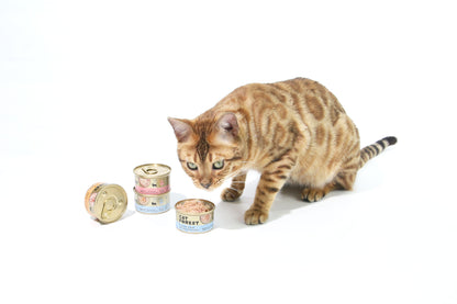 CAT FOREST Premium Tuna White Meat With Mussel In Gravy Cat Canned Food