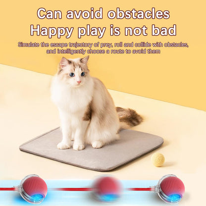 Interactive Cat Rolling Ball Super Drive Cat Rolling Balls With Bird Chirping Motion Activated Sensor Pet Kitten Teaser Game Toy