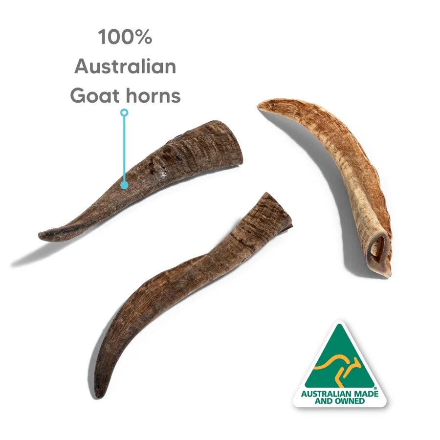 The Pet Project - Goat Horn Dog Chew (15-20cm)