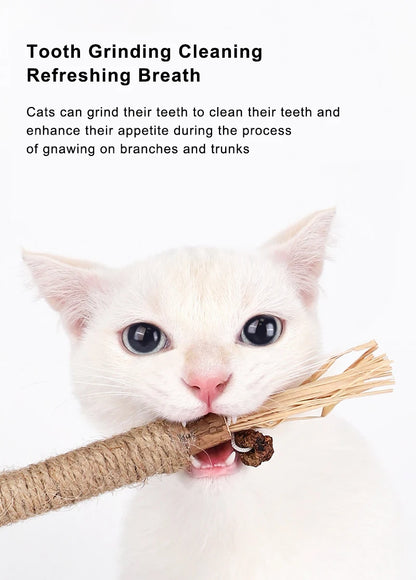 1pc Silvervine Chew Stick Cat Toy Natural Dental Cleaning Stick with Raffia Grass and Hemp Rope