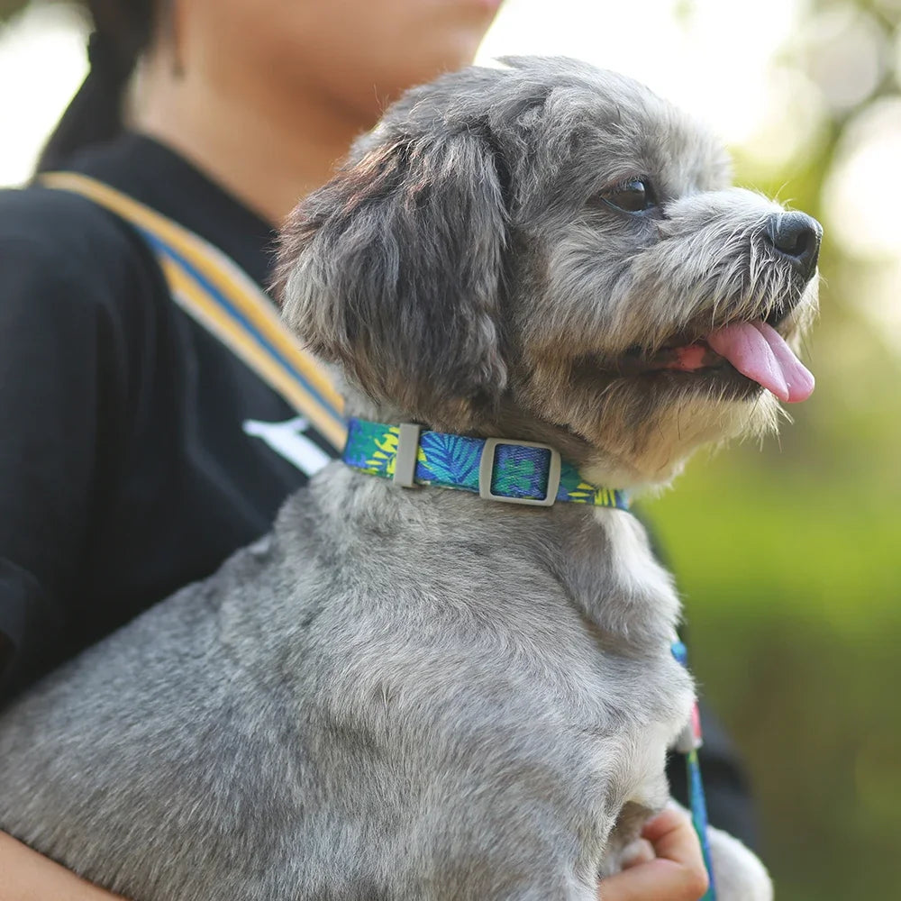 Dog Collar Made Of Polyester Material, Soft And Comfortable, Beautiful Animal Pattern Collar 1 Piece