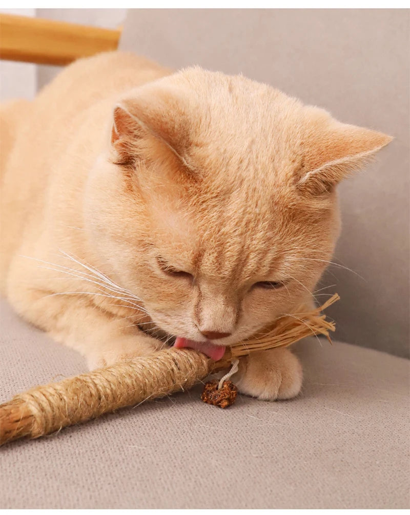 1pc Silvervine Chew Stick Cat Toy Natural Dental Cleaning Stick with Raffia Grass and Hemp Rope