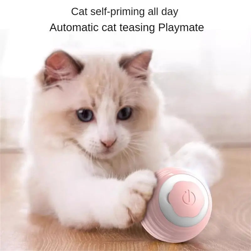 1/3PCS Electric Toys Practical Interactive Electric Clever Training Smart Training Toys Led Electronic Toys Cat Toy